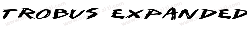 TROBUS EXPANDED字体转换